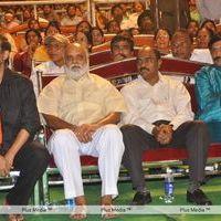 Dookudu 50days Function - Pictures | Picture 123655